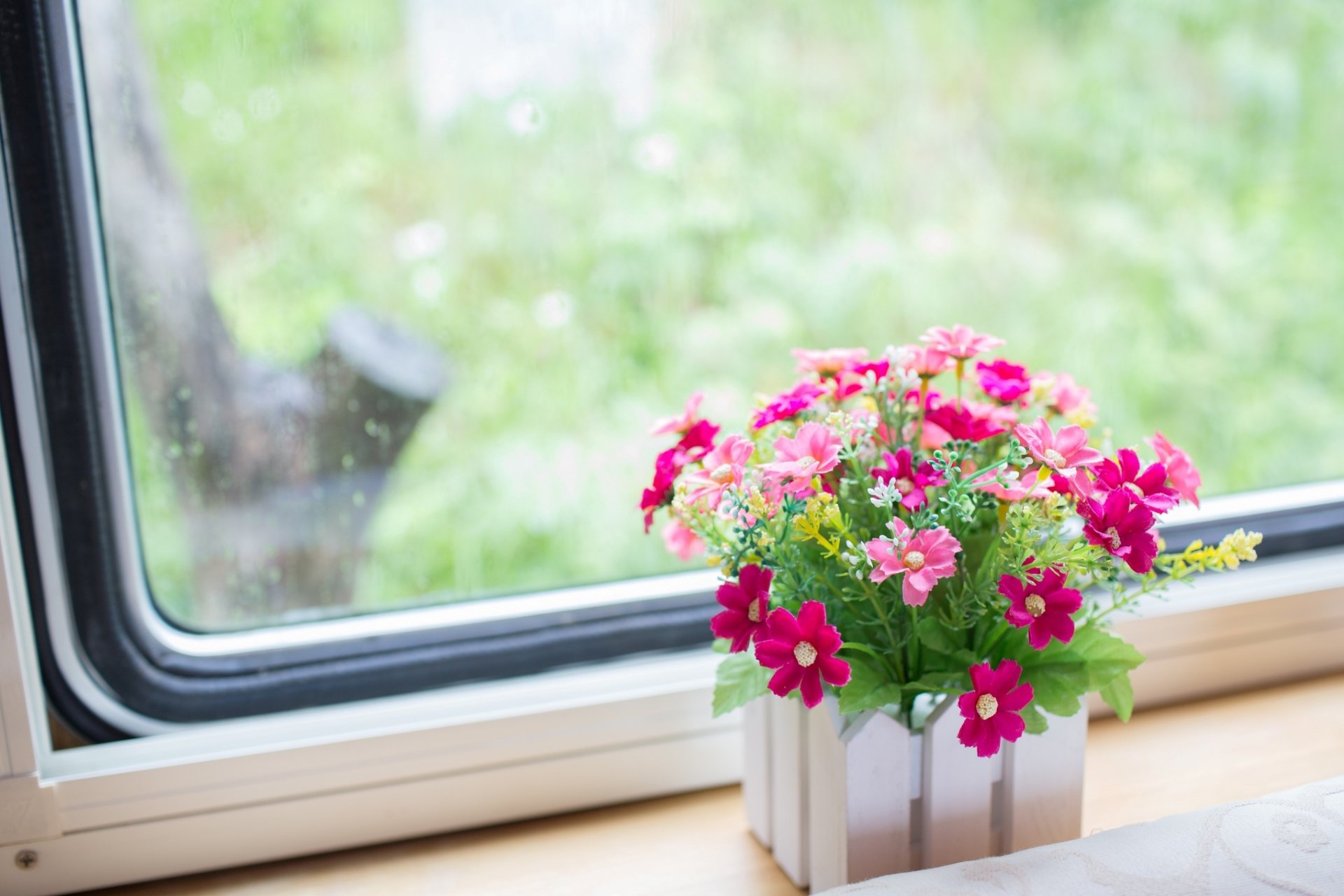 flores rosa maceta alféizar de la ventana ventana