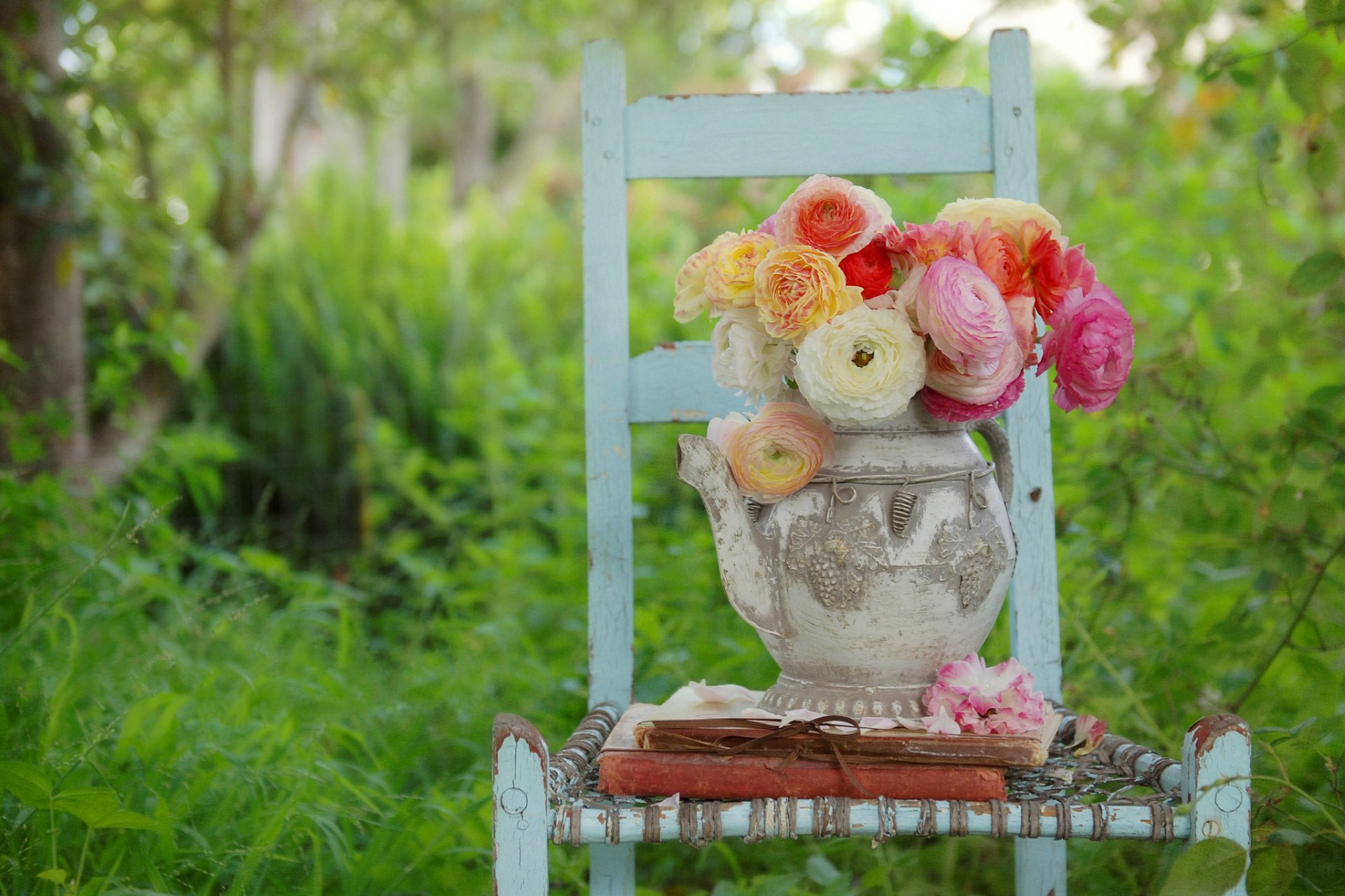 blumen knospen blütenblätter weiß rosa gelb garten gras stuhl bücher