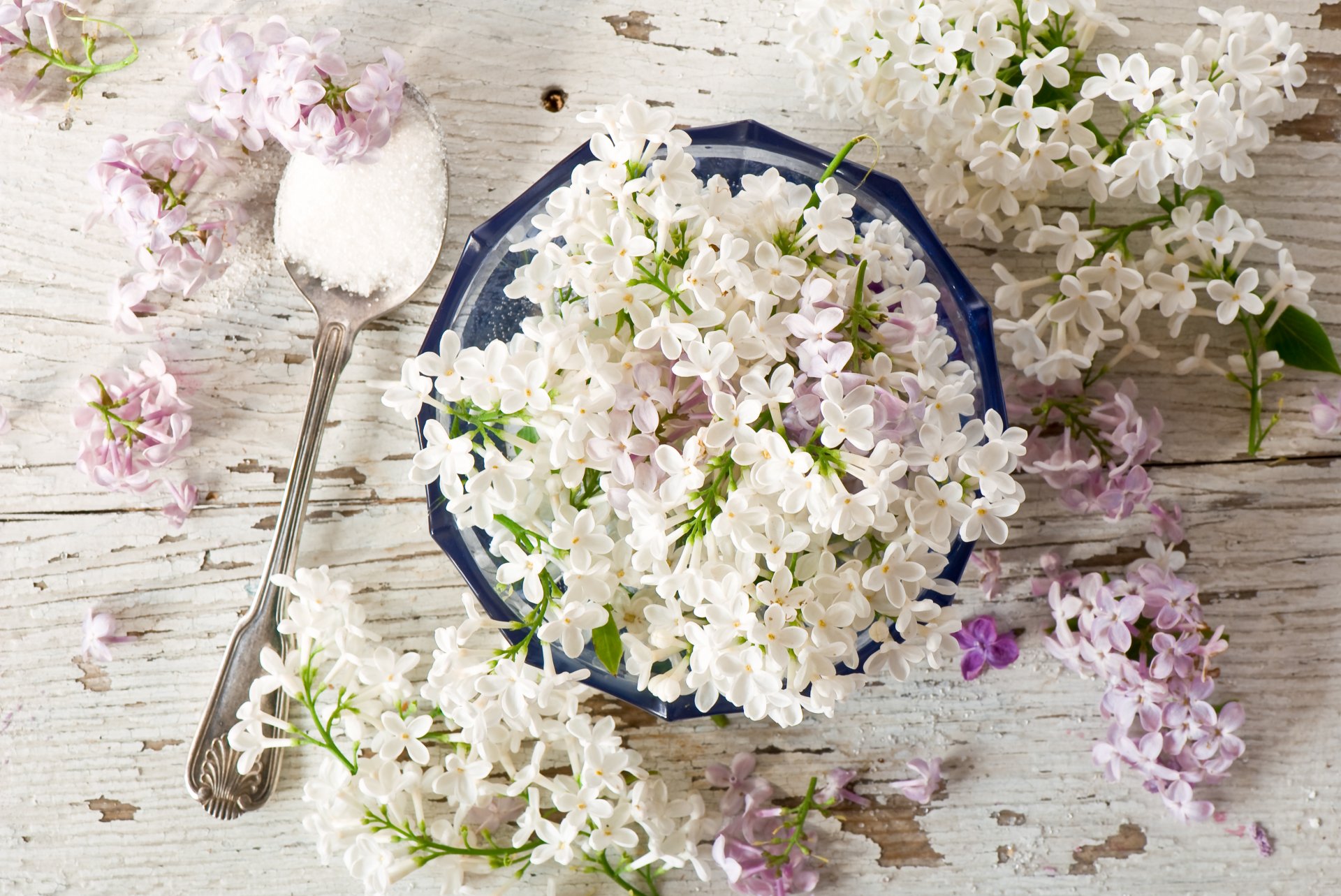 lilas inflorescences cuillère