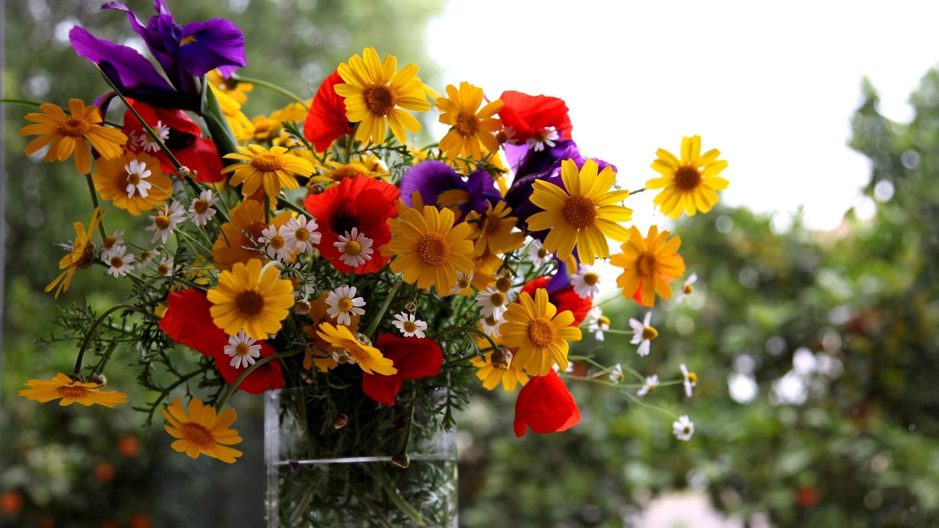 sommer vase blumen blumenstrauß