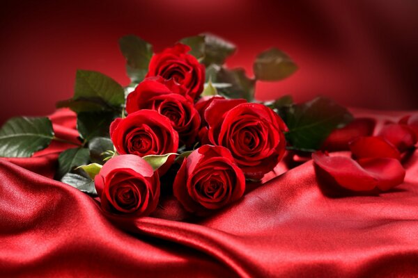 Elegant bouquet of roses on silk