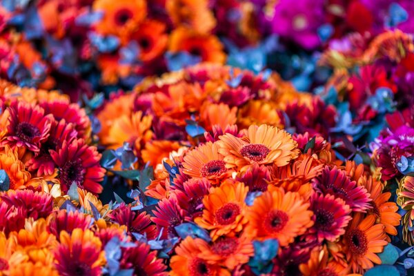 Leuchtend orange und rote Blumensträuße