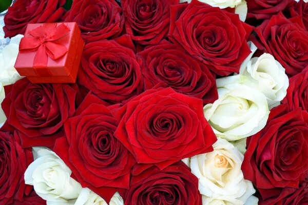 Un grande mazzo di rose per i più amati