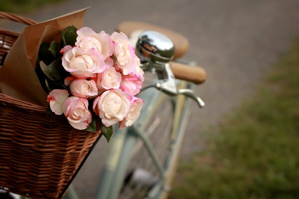 Roses nature morte panier vélo