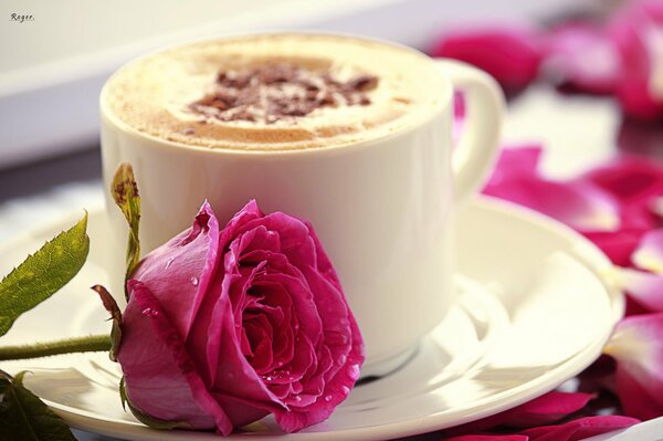 Rose avec une tasse cappuccino romance