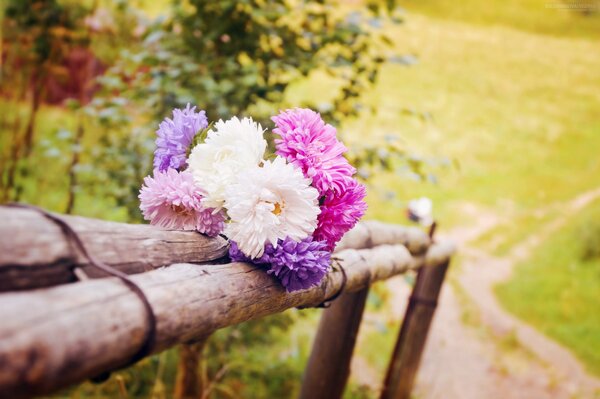 Foto del paesaggio estivo con fiori