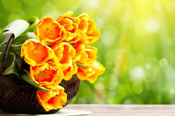 Ramo de tulipanes corrugados amarillos en una canasta
