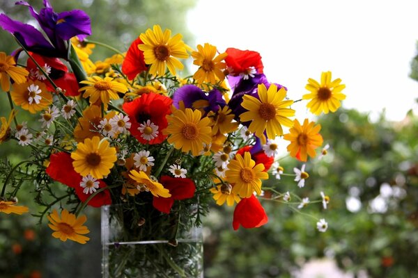 Summer bouquet of multicolored flowers