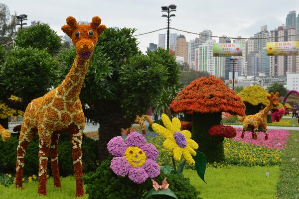 Bushes in the shape of a giraffe, flowers and mushrooms. Park