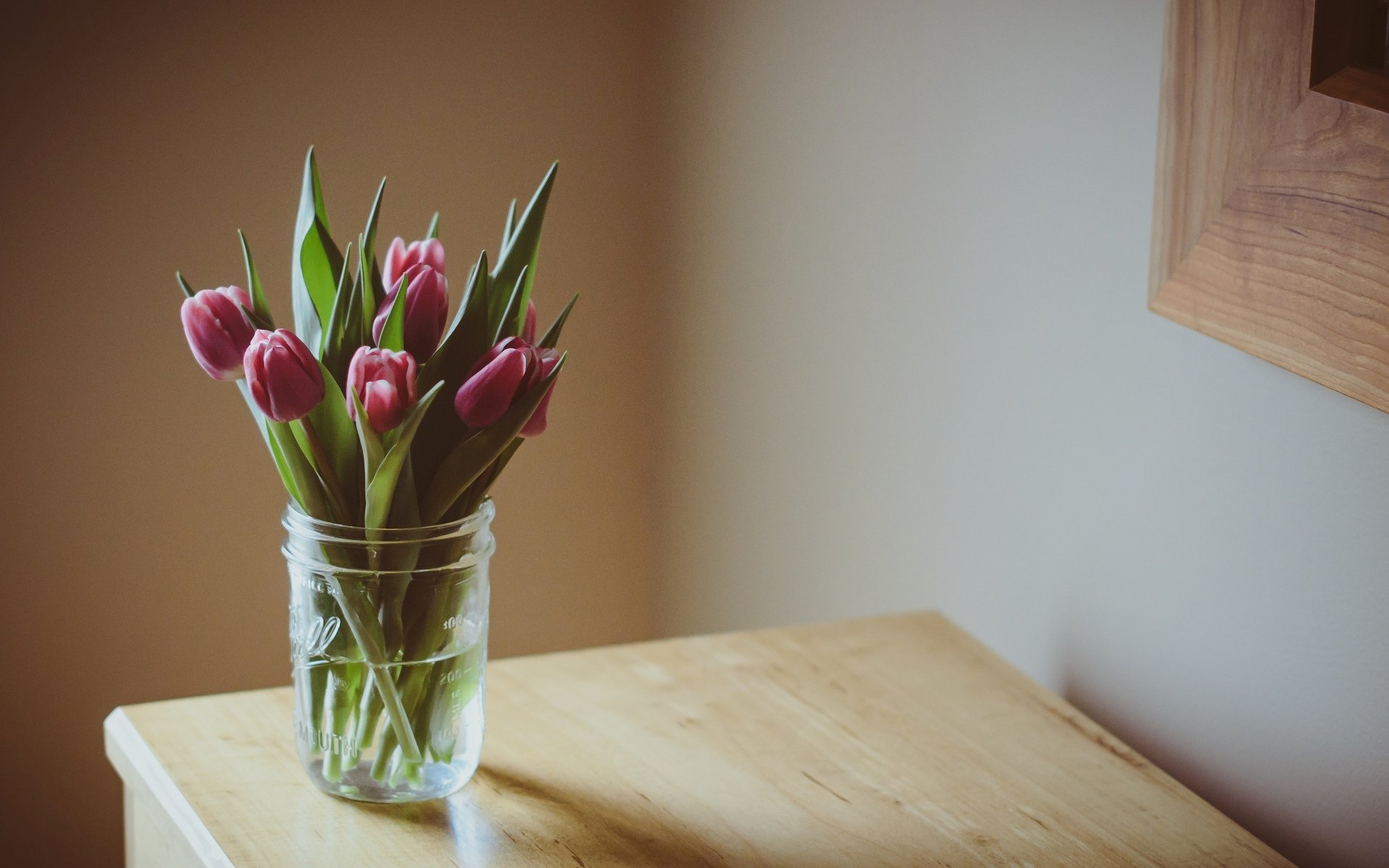 flowers flowers flower purple tulips flower leaves vase vase table background wallpaper widescreen fullscreen widescreen widescreen