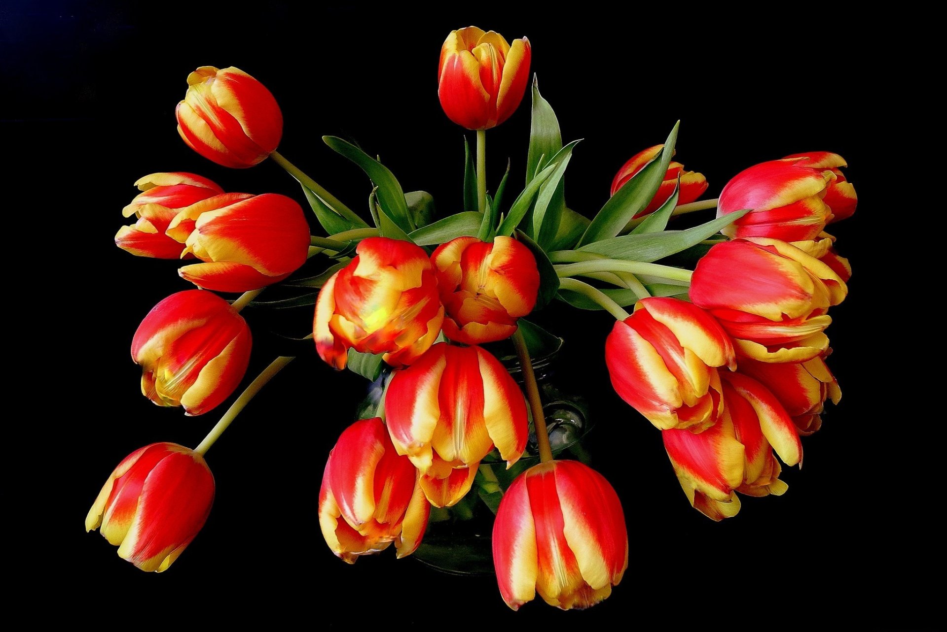 blumen blumenstrauß tulpen orange rot gelb vase schwarzer hintergrund