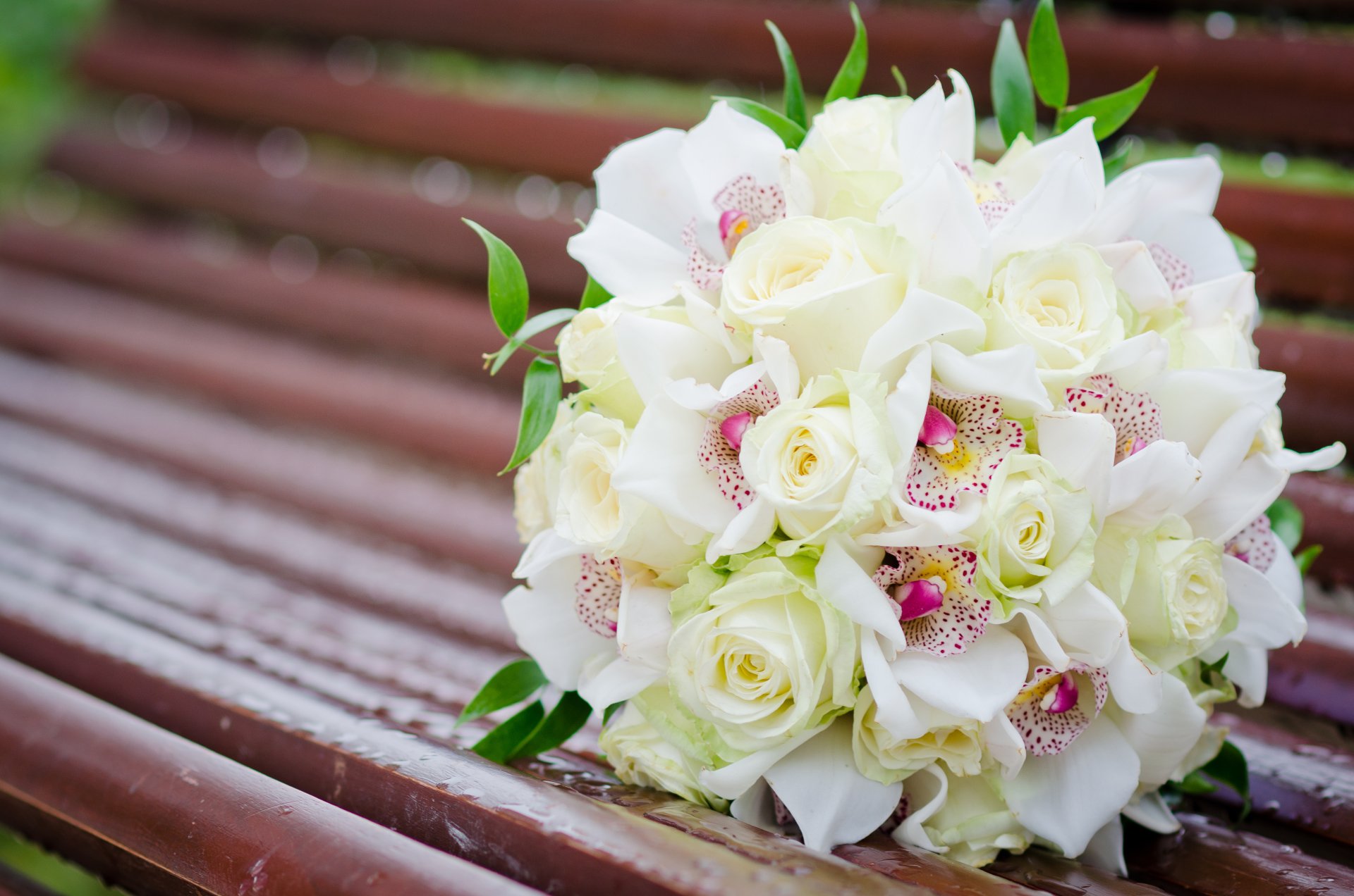 roses orchidées blanc bouquet fleurs banc banc