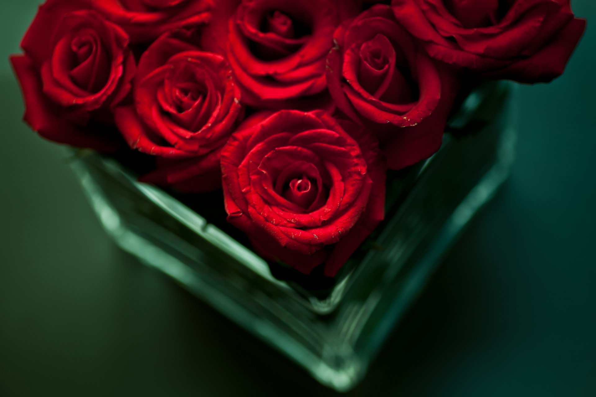 fleurs bouquet roses rouges vase table