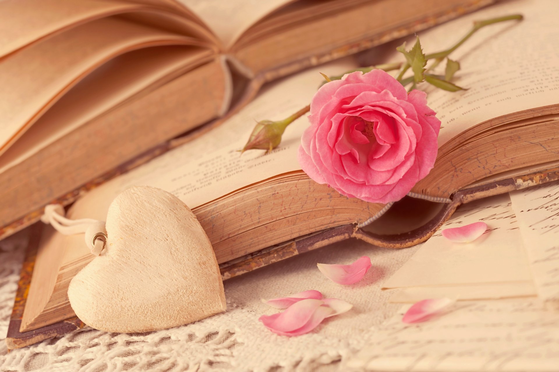 livres amour fleur rose pétales rose romantique je t aime coeur rose