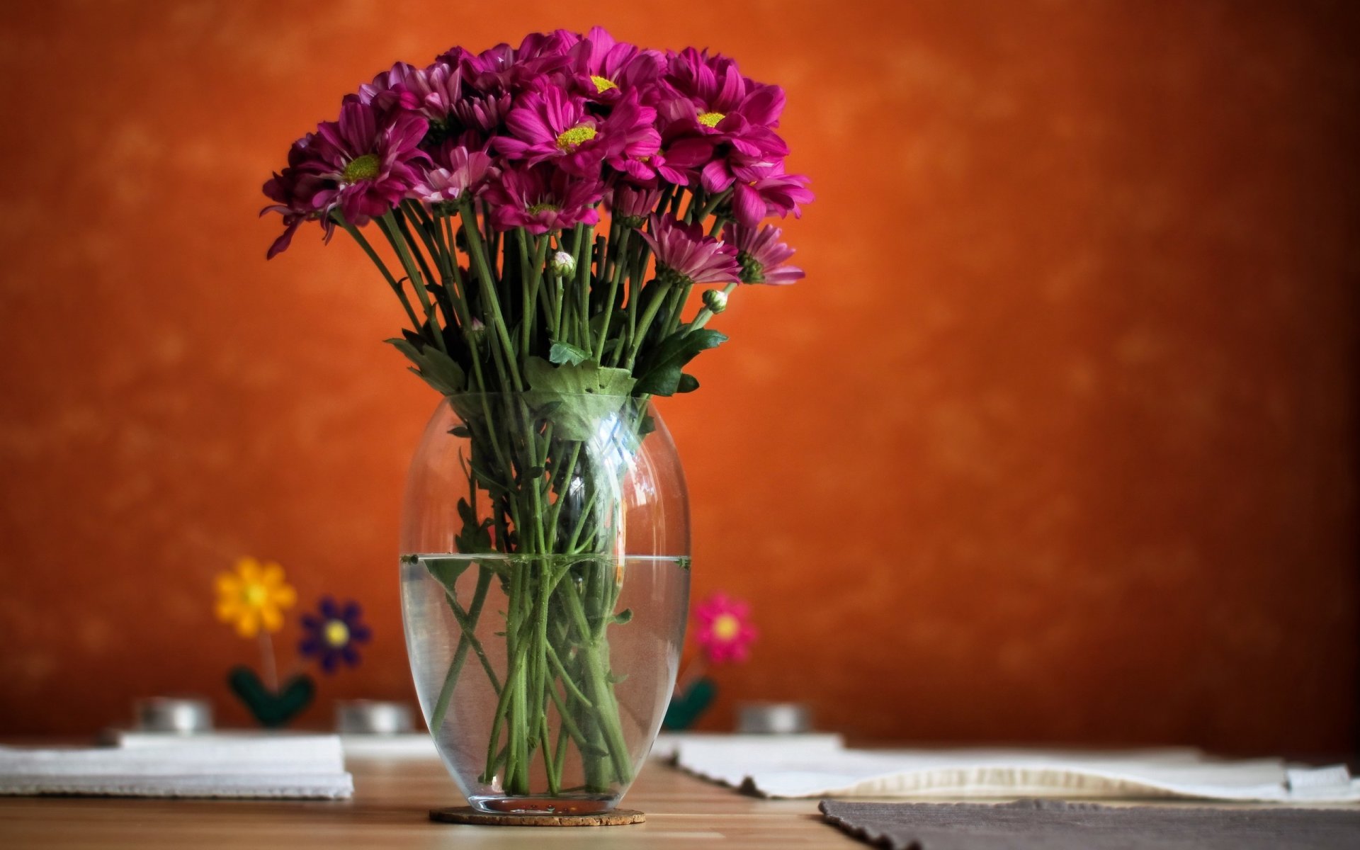 vaso acqua fiori rosa sfondo sfocatura