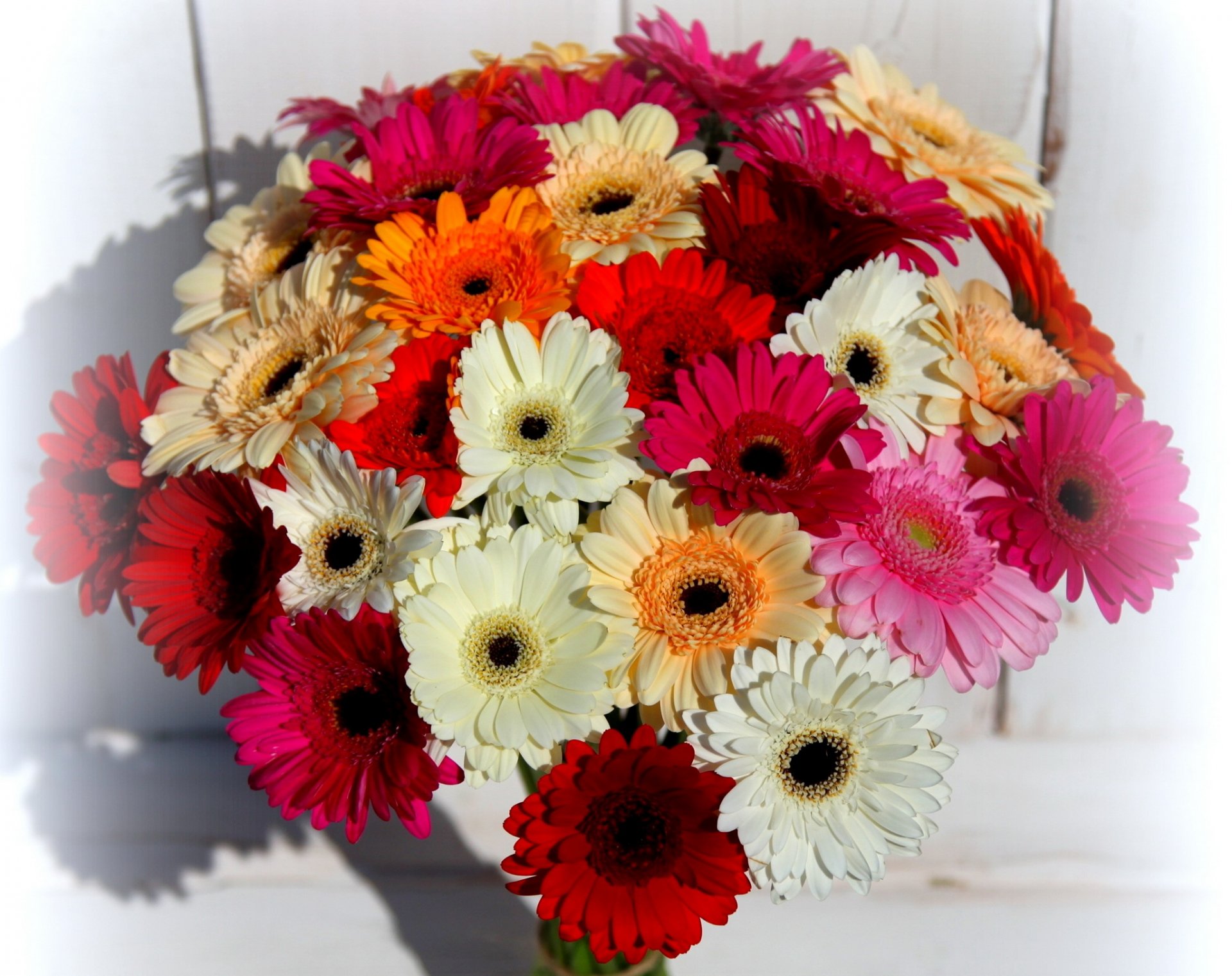 fleurs fleur bouquet gerbera belle