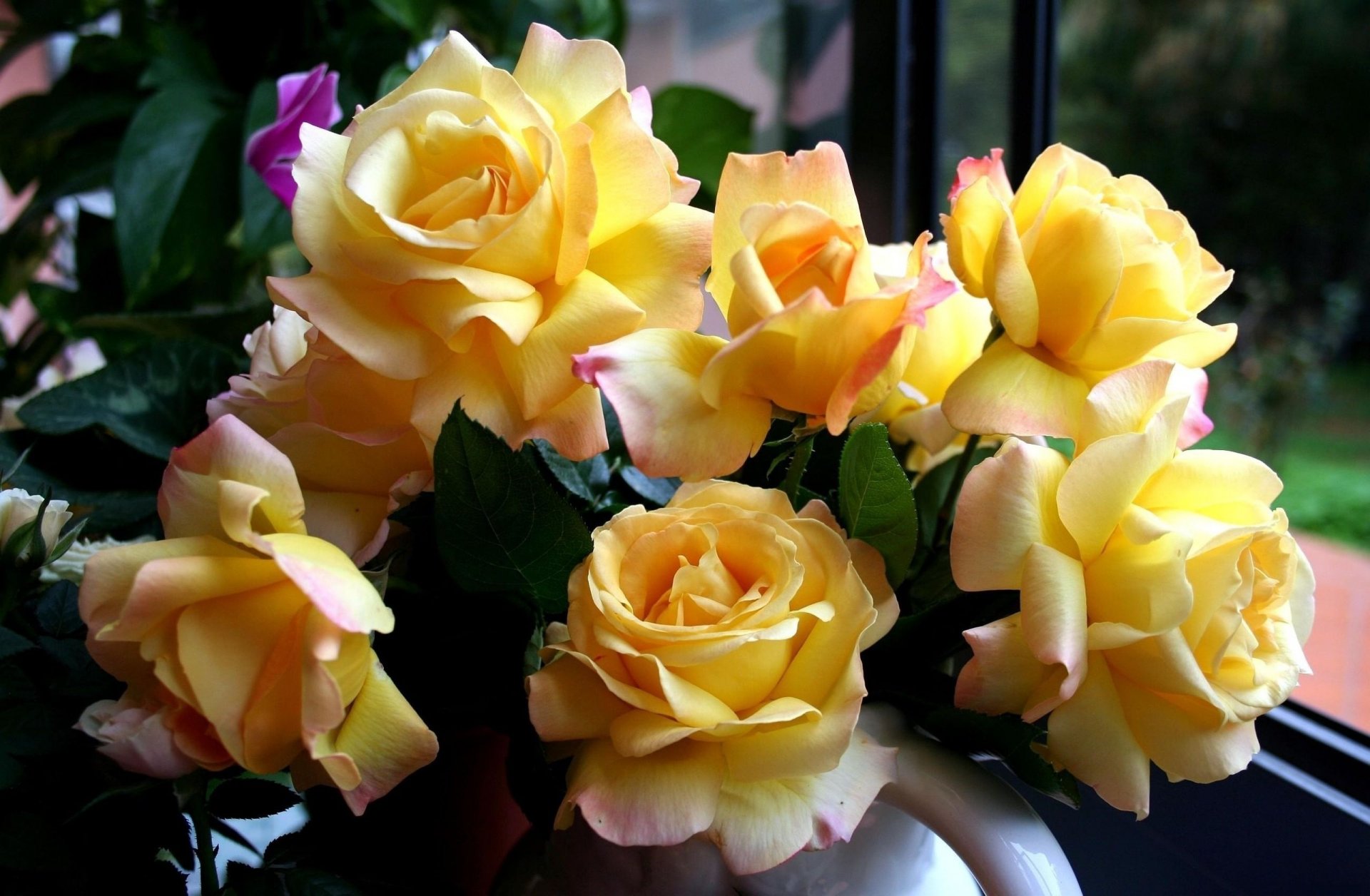 roses flower beautiful yellow bouquet