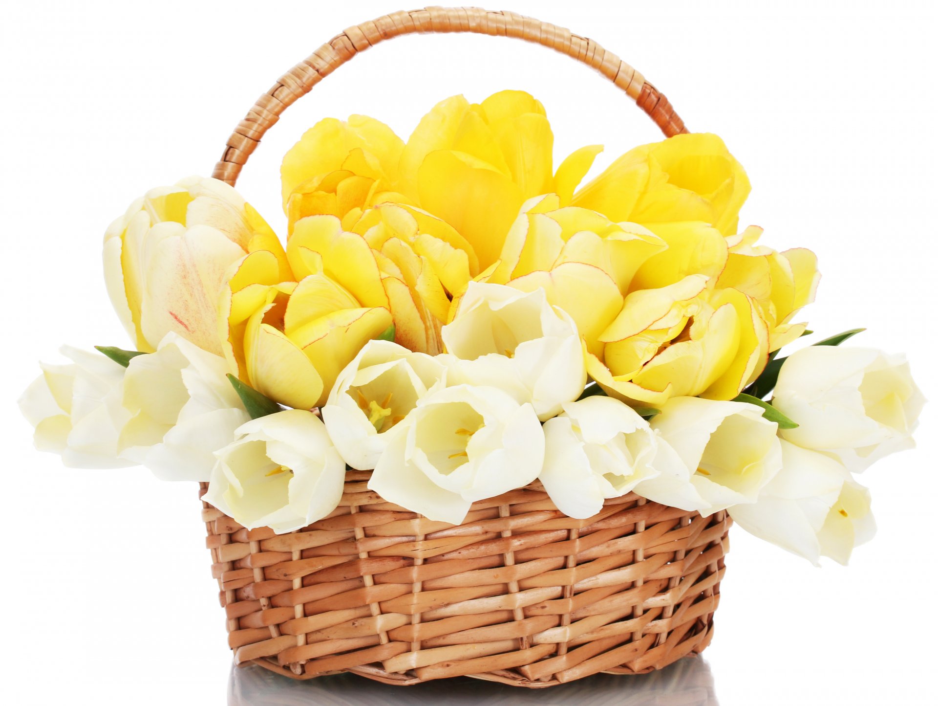 tulips beautiful bouquet flowers flower basket basket tulip nature spring