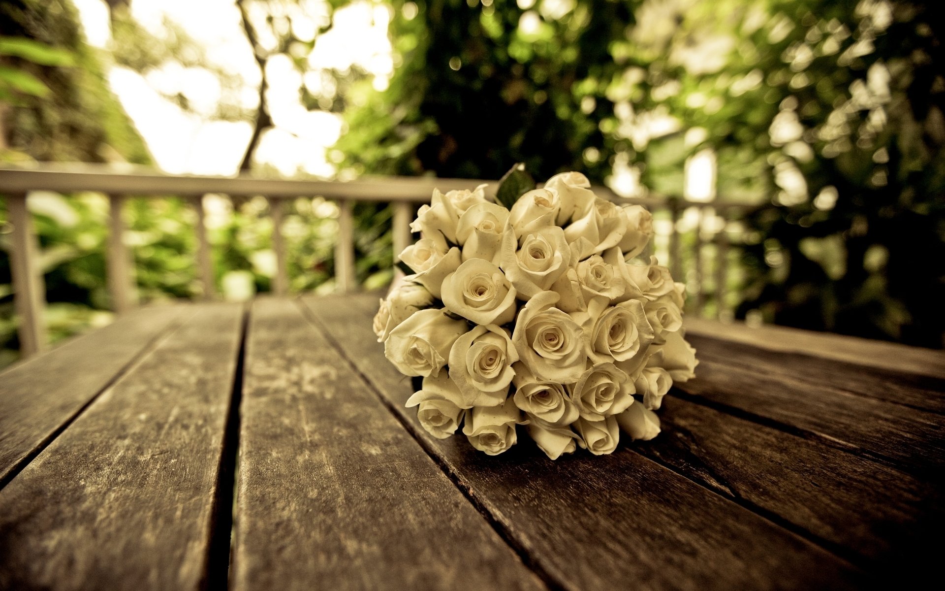 flowers flowers flower white bouquet beautiful roses roses rose tree leaves blur background wallpaper widescreen fullscreen widescreen widescreen