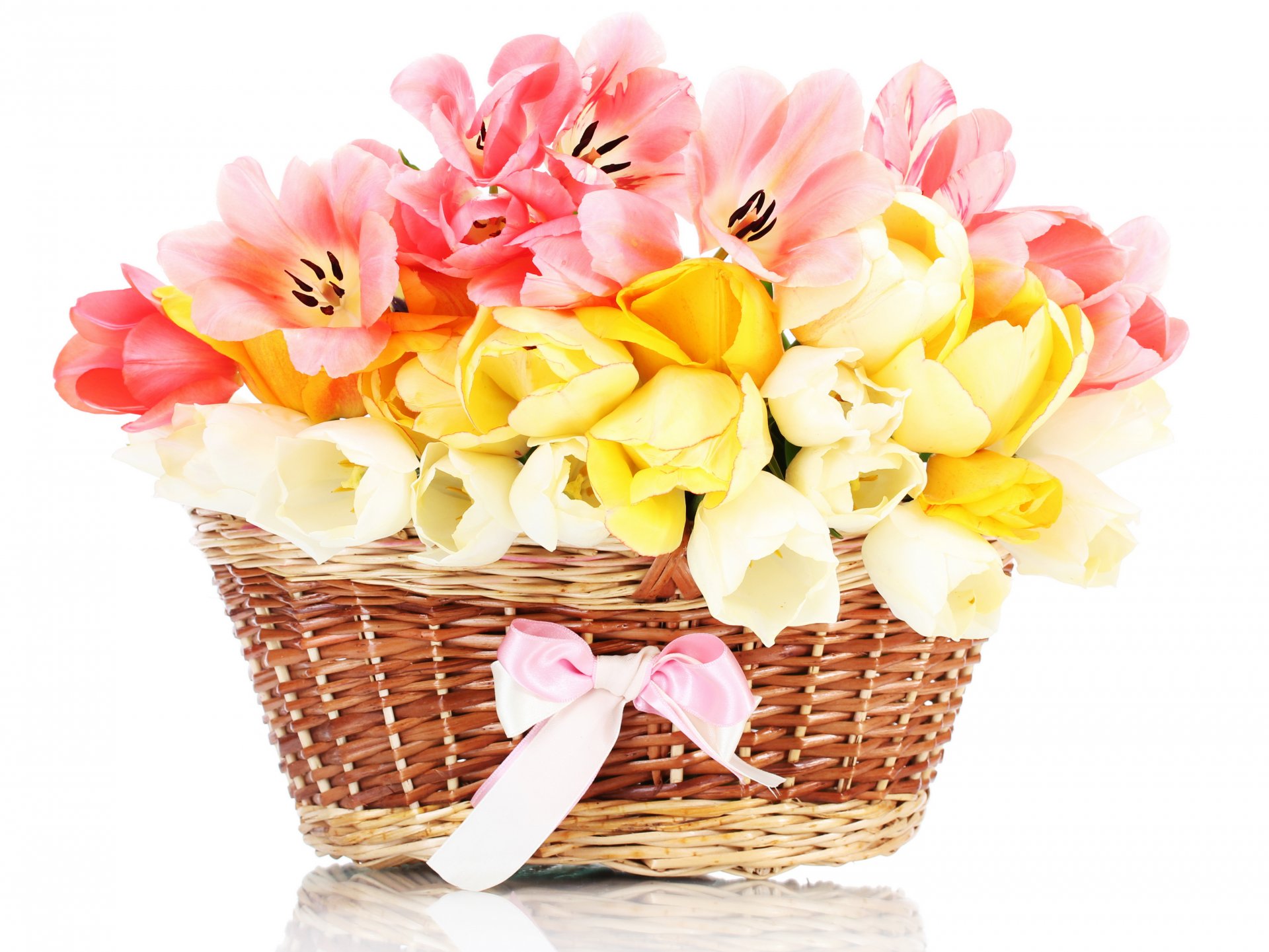 tulips flowers flower bouquet basket basket bow ribbon tulip spring nature