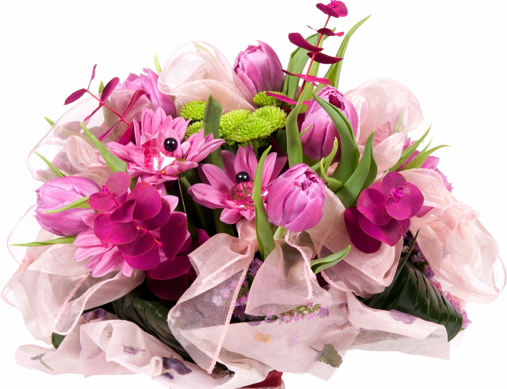 fleur bouquet ruban arc perle tulipes lilas nature printemps