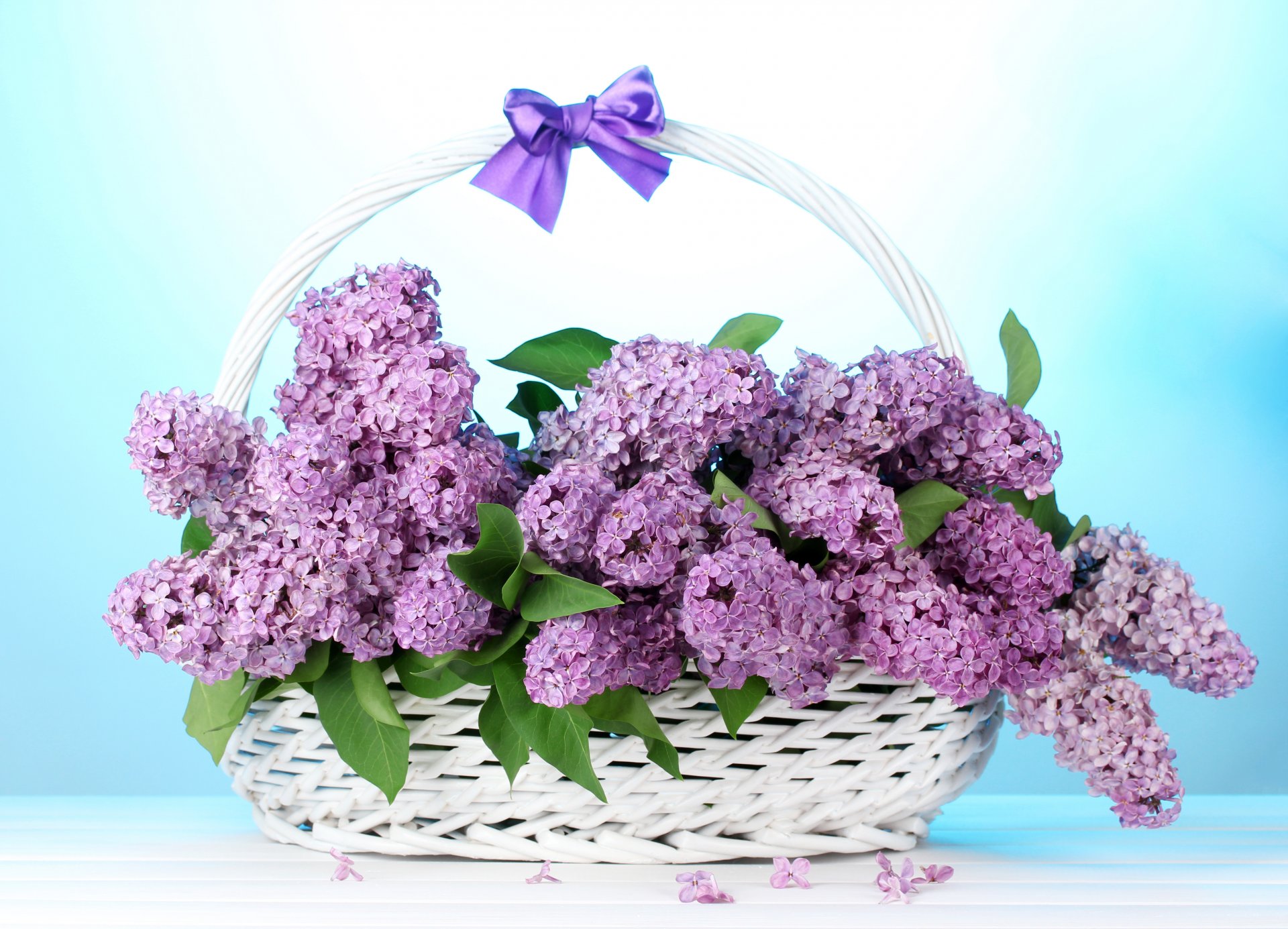 lilac flower basket bow bouquet