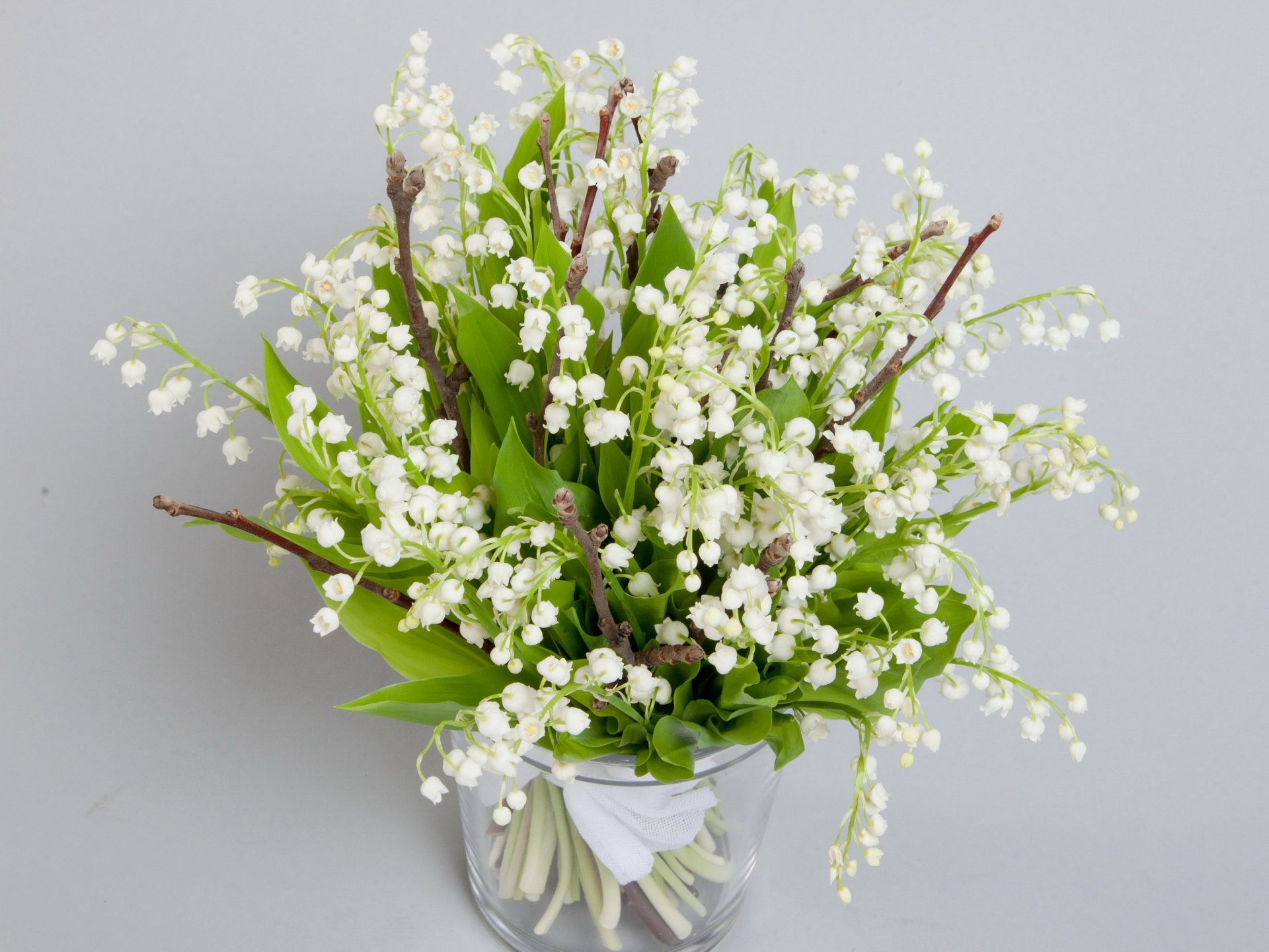 flowers spring lilies of the valley flower bouquet spring nature lily of the valley