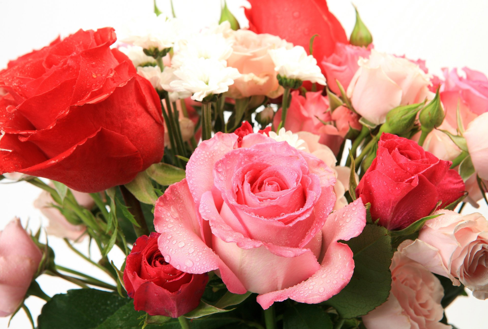 blumenstrauß aus rosen blumen schön