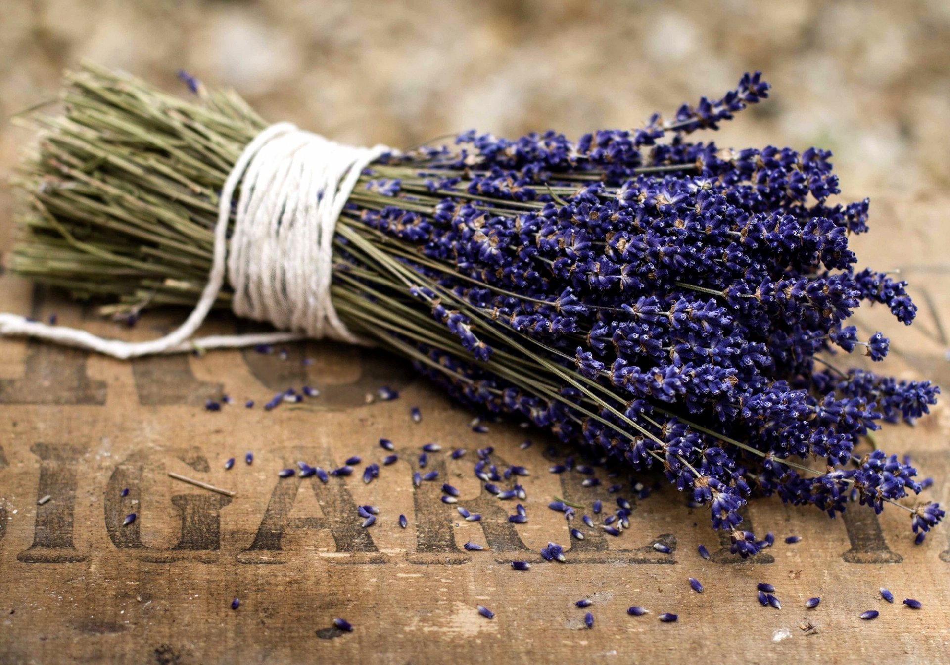 lavender bouquet flower purple