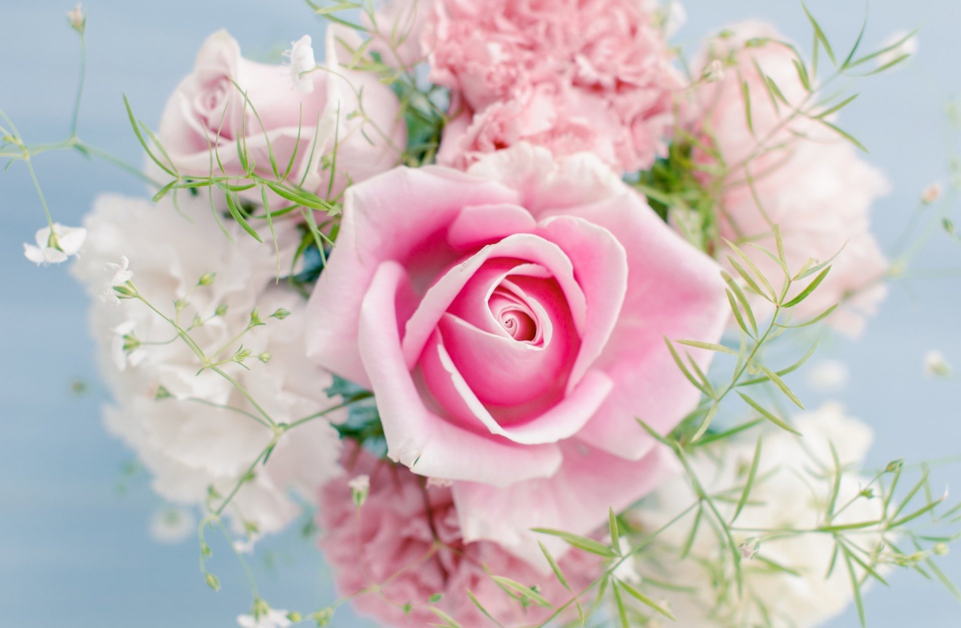 flowers rose light pink color bouquet rose