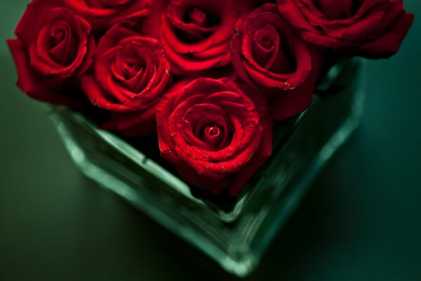 Bouquet de roses rouges! Délicieux!