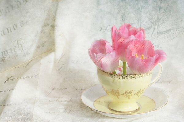 Tulipanes rosa pálido en una taza