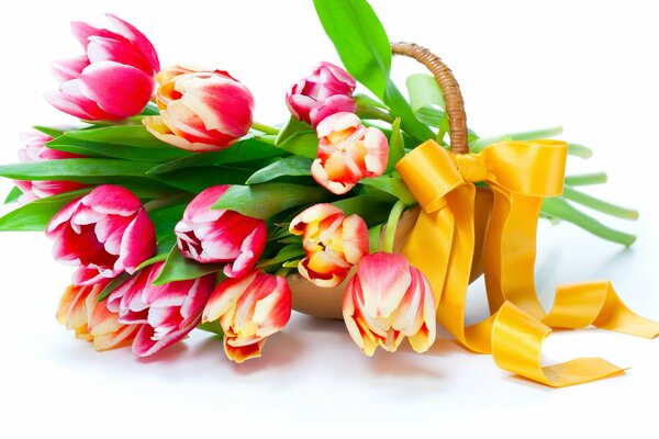 Bouquet de tulipes bandé avec un ruban jaune