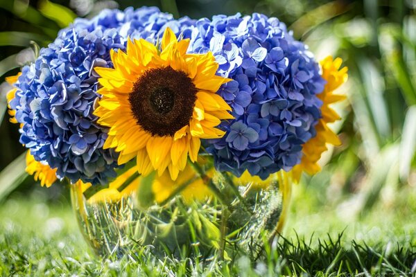 A bright bouquet of sunflower and hydrangeas painted with watercolor paints