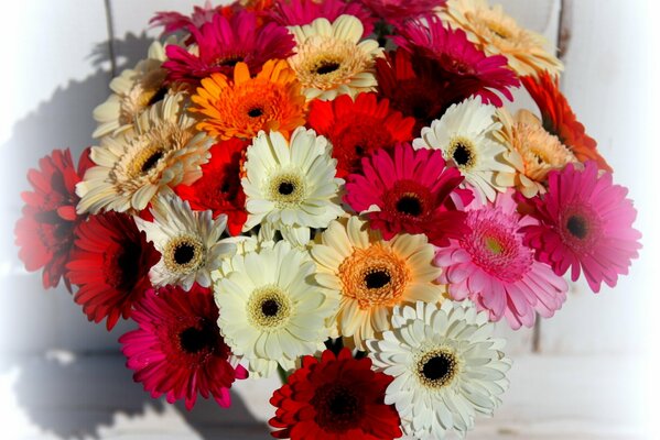 A bouquet of colorful gerbera flowers for every taste