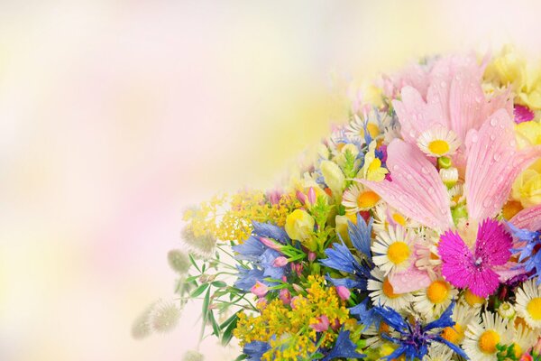 Delicate background with wildflowers