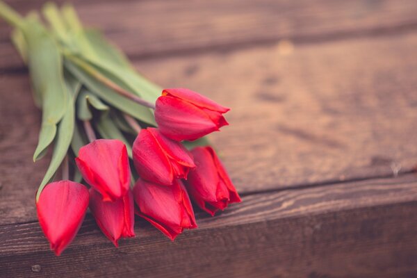 Beau bouquet de tulipes pour un être cher