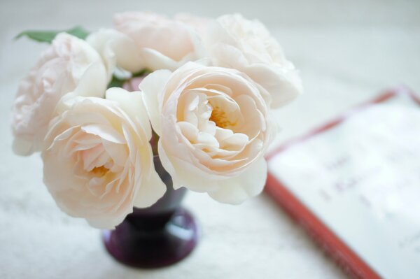 Beautiful bouquet of white and pink roses