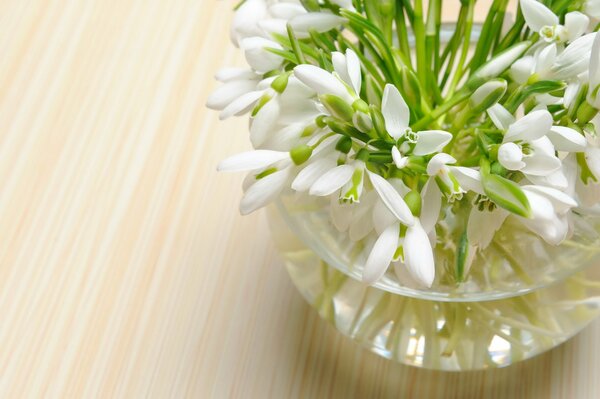 Un bouquet de perce-neige se tient dans un vase