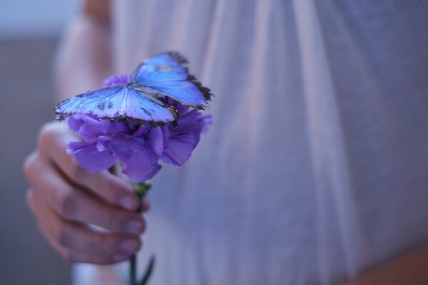 Beautiful butterfly on the girl s hand