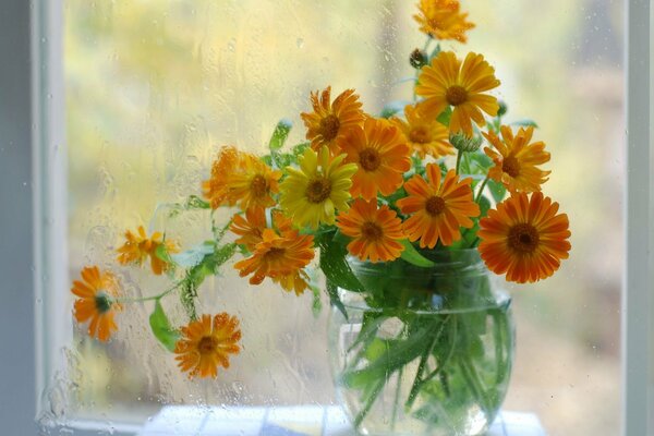 Calendula in a glass jar on the table