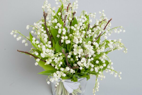 Blumenstrauß aus Frühlingsmaigeln in einer Vase