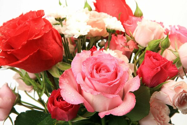 Bouquet of red and pink roses