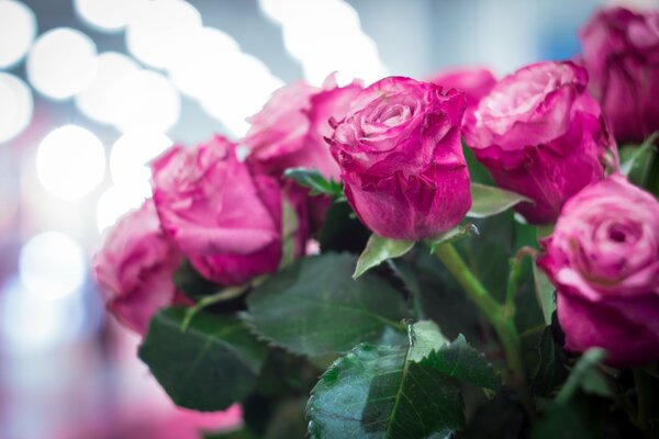 Różowe róże, bukiet róż, piękne kwiaty, jasny bukiet