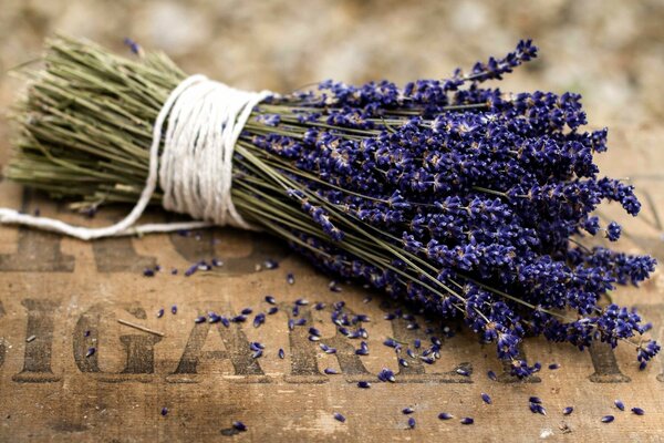 Fleurs inhabituelles bouquet de lavande riche teinte pourpre