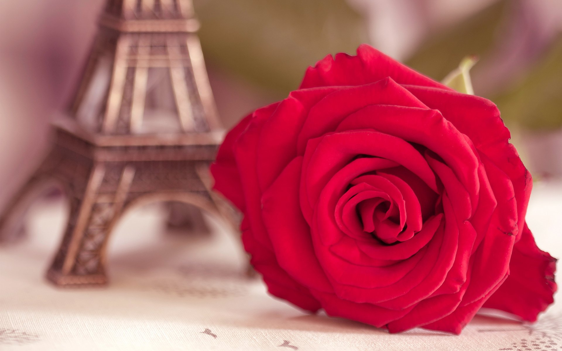 flor rosa escarlata macro torre eiffel estatuilla desenfoque