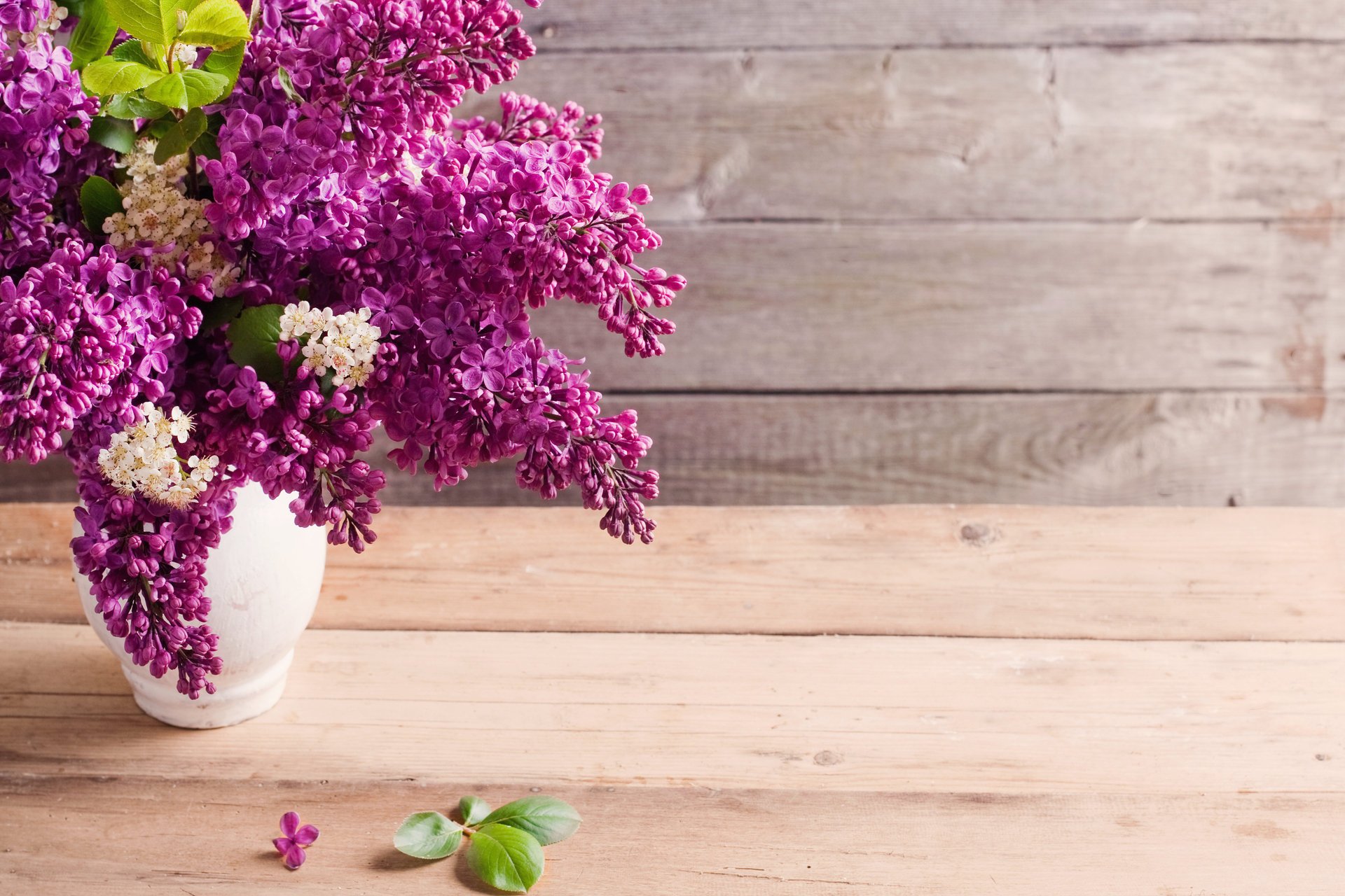 vase bouquet lilas