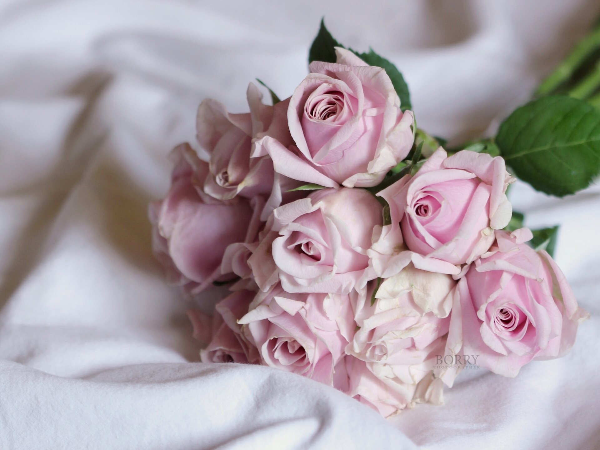 roses buds bouquet tender