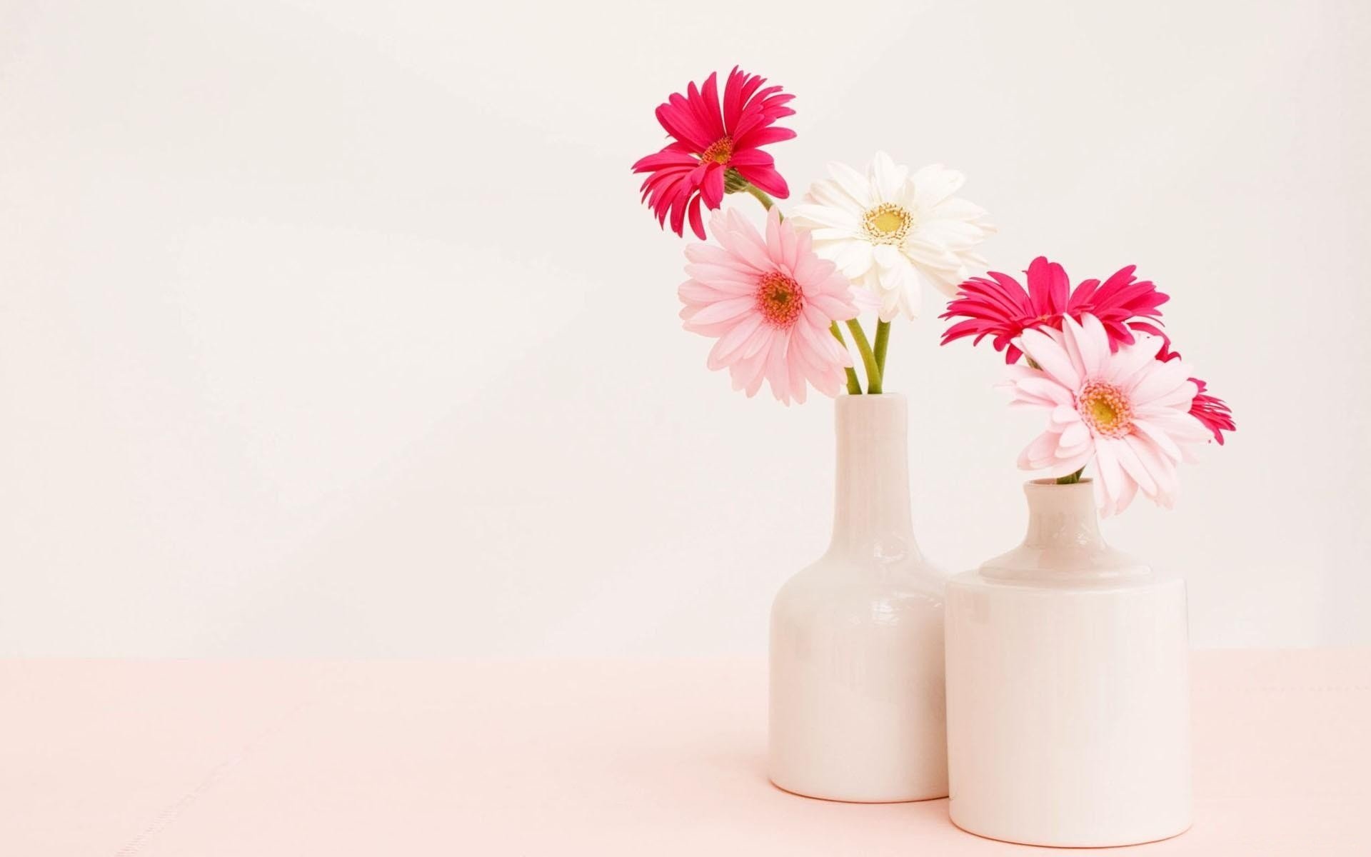 gerbera bouquet vase fond lumière