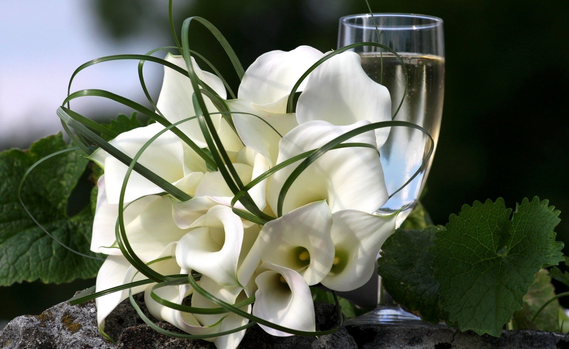 flower bouquet white callas leaves green flowers glass drink